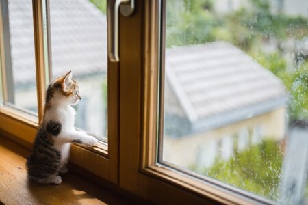 Vad kostar nya fönster 2025? Prisguide och tips för att spara pengar