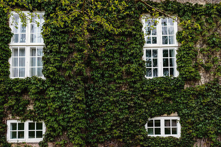 Säsongsbaserat underhåll - vår- och höstchecklista för fönster och dörrar